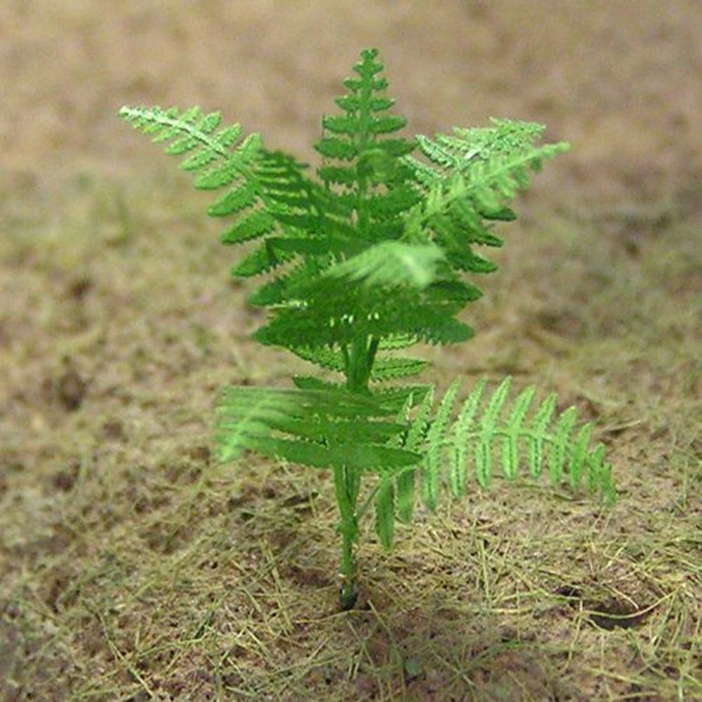 Buy FERN 1/32 and 1/35 online for7,50€