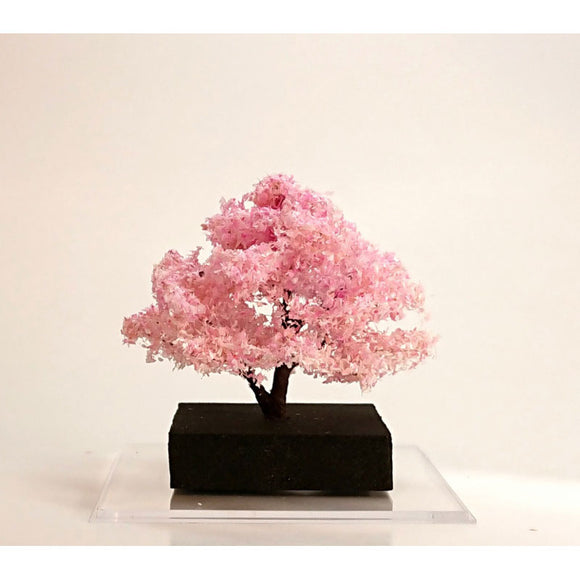 Kawazu Cherry Blossom approx. 6cm 1piece : Kigusa BUNKO Finished product - Non-Scale - WA2