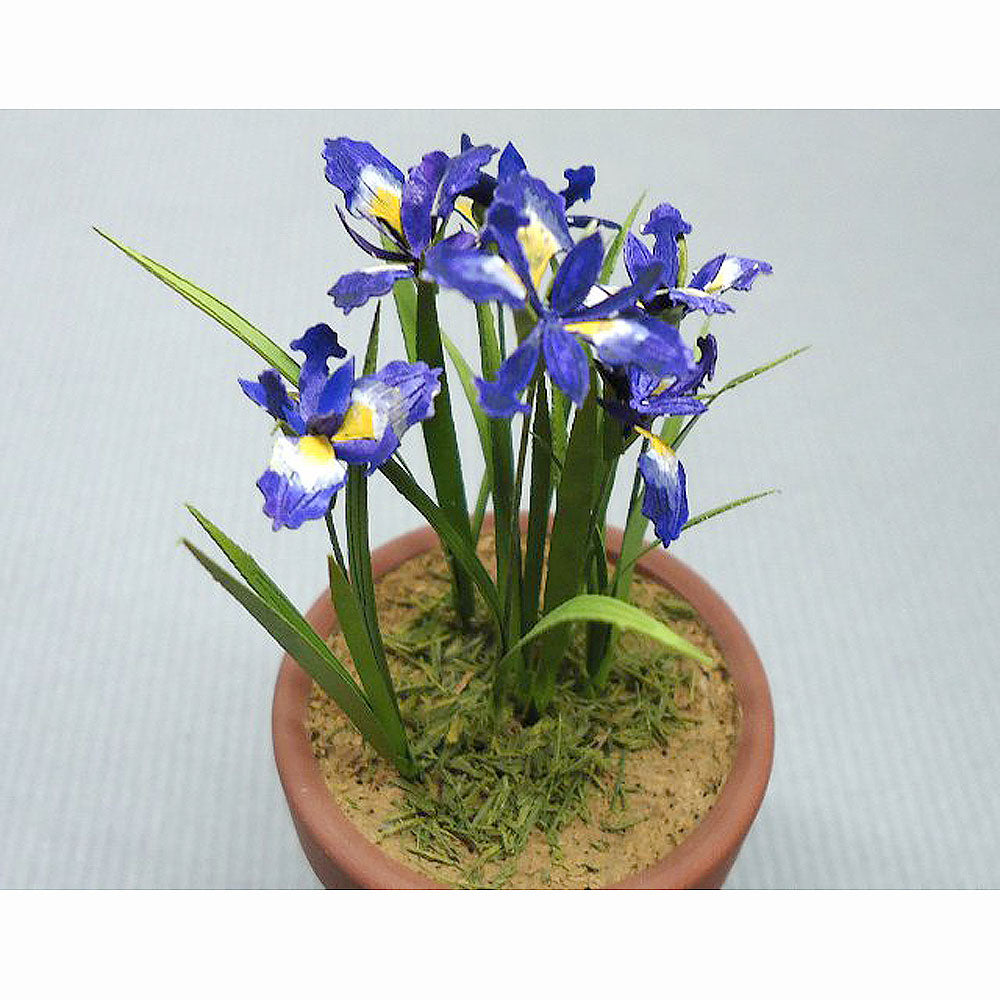 ct269 – Sakatsu Global