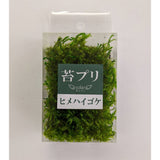 Moss Puri (Hime) Haigoke S : Solaru Non Scale kp020