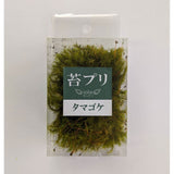 Moss Preserve - Tamagoke - Moss Green S : Solaru - Non-scale kp026