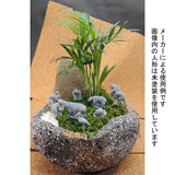 Miniature Alpaca for gardening diorama : Icom Pre-Painted Non-Scale GM25
