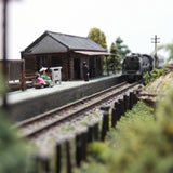 My House of Nostalgia (with Case) : Taguchi Kobo Finished product Z (1:220)