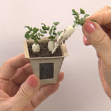 Miniatures in Clay: Harvestable Small Vegetable Garden 2 - Radish: 1:6 scale kit by Vogue Japan