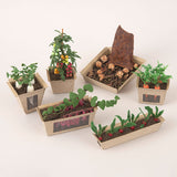 Miniatures in Clay: Harvestable Small Vegetable Garden 4 - Sweet Potato: 1:6 scale kit by Vogue Japan