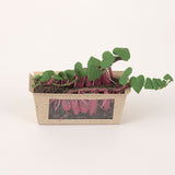 Miniatures in Clay: Harvestable Small Vegetable Garden 4 - Sweet Potato: 1:6 scale kit by Vogue Japan