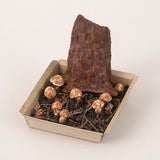 Miniatures made with Clay: Harvestable Small Vegetable Garden 5 - Matsutake Mushroom: 1:6 scale kit by Nihon Vogue Co.