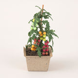 Miniatures in Clay: Harvestable Small Vegetable Garden 6 - Mini Tomatoes: 1:6 scale kit by Vogue Japan