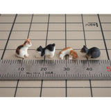 Cat Set A : Baioudou O (1:48) Painted finished product FI-024-48C