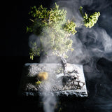 Fog Generation Module Option Ultrasonic Transducer : BitTradeOne Electronic Components Non-scale MMSTGN-OP2