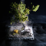 Fog Generation Module Option Ultrasonic Transducer : BitTradeOne Electronic Components Non-scale MMSTGN-OP2