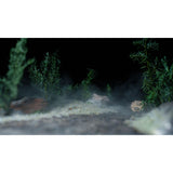 Fog Generation Module Option Ultrasonic Transducer : BitTradeOne Electronic Components Non-scale MMSTGN-OP2