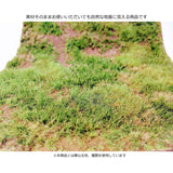 Matte type (wilderness) Height 6mm Summer : Martin Uhlberg Non-scale WB-M023