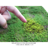 Mat Type (Meadow) 12mm Height Late Summer with Powder : Martin Uhlberg Non-Scale WB-M053