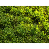 Peeled type (with turf powder) Spring Height 2mm : Martin Uhlberg Non-scale WB-PW221