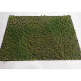 Peeled type (with turf powder) Late summer, height 2mm : Martin Uhlberg Non-scale WB-PW223