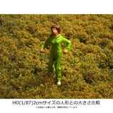 Peeled type (with turf powder) Late summer, height 2mm : Martin Uhlberg Non-scale WB-PW223