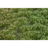 Field (with powder) Late Summer Height 4.5mm: Martin Uhlberg Non-scale WB-PW403