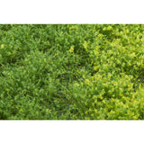 场（带粉末），弹簧，高度 6mm：Martin Uhlberg，无刻度 WB-PW601