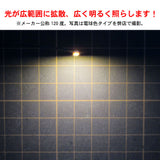 Bombillas LED con chip de alta intensidad, 2 piezas : Sakatsuo Electronic Parts Non-scale 2210