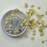 Fine Leaf Ivy type (small) [Ugly colour] Approx. 420 pieces : Sakatsuu Material Non-scale 3503