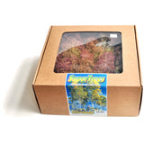 Dutch Dried Flowers (Super Trees) : Scenic Express Kit Non Scale 214