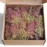 Dutch Dried Flowers (Super Trees) : Scenic Express Kit Non Scale 214