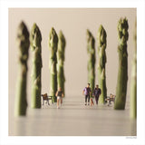 Small Wonders - Life Portrait in Miniature (Small Wonders) : Miniature Calendar (Book) 9784865050776