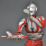 Don't shoot! Porcupine : Gentaro Asaki painted, Non-scale