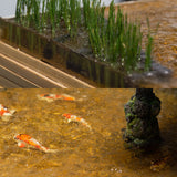 小京都之旅：樱花和君 1:32 比例