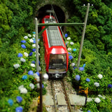N Gauge Mini Layout "Hakone Tozan Railway, Ohdaira Tunnel Crossing": KDF Diorama Work, 1:150 Scale