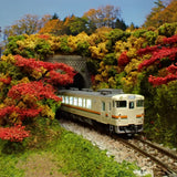 N Gauge Mini Layout [Maple Tunnel]: KDF Painted and Finished Model 1/150 Scale