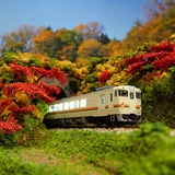 N Gauge Mini Layout [Maple Tunnel]: KDF Painted and Finished Model 1/150 Scale