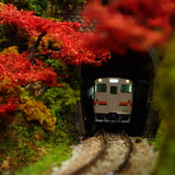 N Gauge Mini Layout [Maple Tunnel]: KDF Painted and Finished Model 1/150 Scale