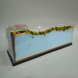 N Gauge Mini Layout [Railway in Brilliant Autumn Colors]: KDF Pre-Painted Finished Model 1/150 scale