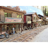 Chuetsu Regional Railroad - Now a Mysterious Scenery : Yoichi Miyashita Painted 1:80 scale (HO, No.16)