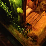 90mm cube miniature 'Houtou Minayoshi' : Taro - painted, not to scale