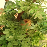 Camping : Lion Model Sho Fujihira - Painted - 1:24 Scale