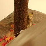 Glamping de Otoño : Lion Model Sho Fujihira - Pintado Escala 1:24