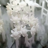 Flower Assortment 1 : Ultrareal24 Plant Expression 3D unpainted kit flower type 1:24 1028