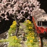 Rural landscape in spring : Art Stage K Painted 1:150 size