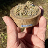 Pull Tab and Violet: Art Stage K - Diorama Art Work Non-Scale