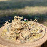 Pull Tab and Violet: Art Stage K - Diorama Art Work Non-Scale