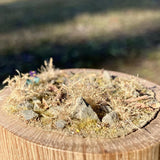 Pull Tab and Violet: Art Stage K - Diorama Art Work Non-Scale