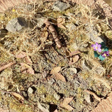 Pull Tab and Violet: Art Stage K - Diorama Art Work Non-Scale