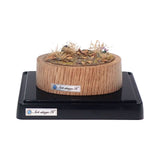 Pull Tab and Violet: Art Stage K - Diorama Art Work Non-Scale