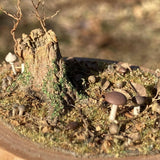 Early Winter Forest, Acorns and Mushrooms: Art Stage K - Diorama Art Work Non-Scale