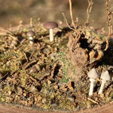 Early Winter Forest, Acorns and Mushrooms: Art Stage K - Diorama Art Work Non-Scale