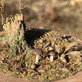 Early Winter Forest, Acorns and Mushrooms: Art Stage K - Diorama Art Work Non-Scale