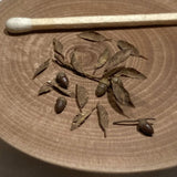 Early Winter Forest, Acorns and Mushrooms: Art Stage K - Diorama Art Work Non-Scale